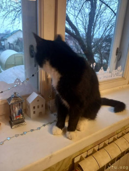 Наши любимые домашние питомцы - 20251218_101636.jpg