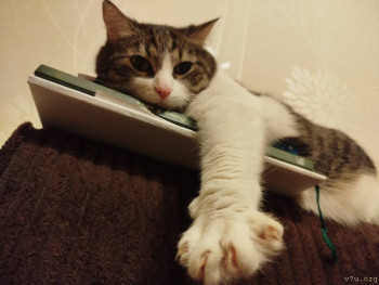 Ларчик с секретом - IMG_20251219_170306.jpg