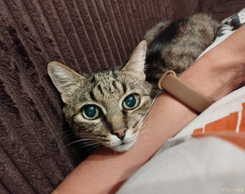 Ларчик с секретом - IMG_20251219_184415.jpg