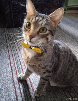 Ларчик с секретом - IMG_20251221_210441.jpg