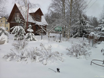 И снова про Белку  - IMG20251229121929.jpg