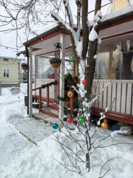 И снова про Белку  - IMG20251229121856.jpg