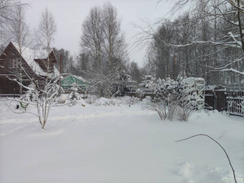 И снова про Белку  - IMG20251229105227.jpg