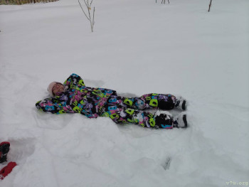 И снова про Белку  - IMG20251229124152.jpg