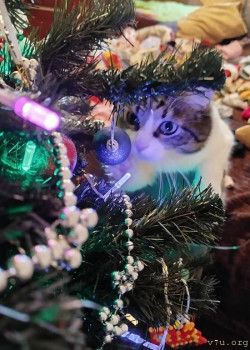 Ларчик с секретом - IMG_20251231_135313.jpg