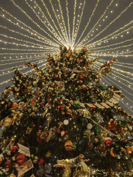 И снова про Белку  - IMG20260108181855.jpg