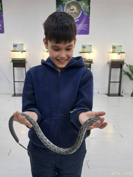 Амир, Альбина, Ахрор и жираф - image.jpg