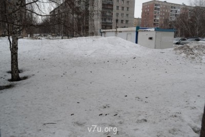 Выгул собак под окнами и на детской площадке, что делать? - DSC_0127.JPG