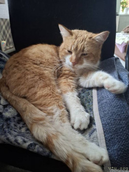 Наши любимые домашние питомцы - 20260124_115858.jpg