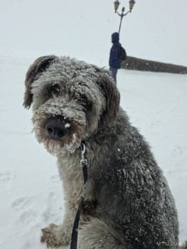 Наши любимые домашние питомцы - 20260215_115234.jpg