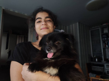 Наши любимые домашние питомцы - IMG_20251205_151621.jpg