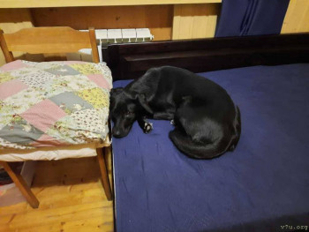 Жили-были мы. - IMG_20260220_093713_036.jpg