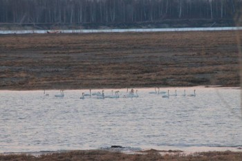 Природа наших мест - IMG_6430.JPG