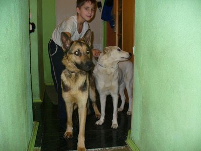 Мой старший сын с Лизой и Адамом. Всех подобрали, все уже в семье.