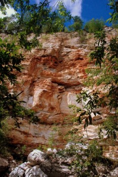 Летний отдых - DSC_0926.JPG