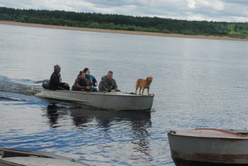 Местное такси