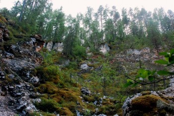 Тараканий лог