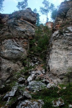 Древние останцы - хранители лога