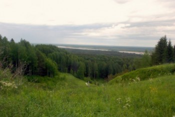 Северный лес