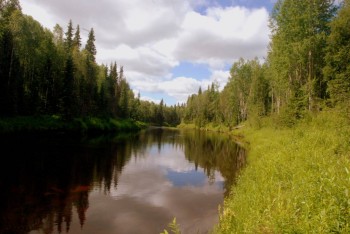 Летний отдых - DSC_1045.JPG