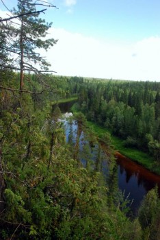 Летний отдых - DSC_1070.JPG