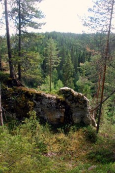 Летний отдых - DSC_1071.JPG