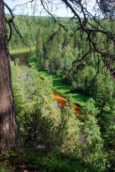 Летний отдых - DSC_1095.JPG