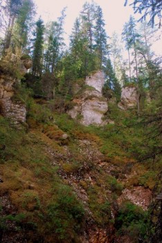 Древние карстовые останцы