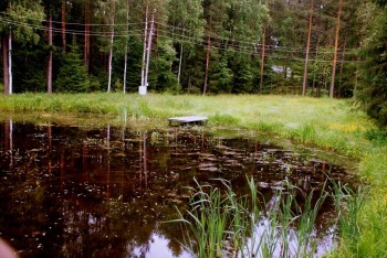 Летний отдых - DSC_1221.JPG