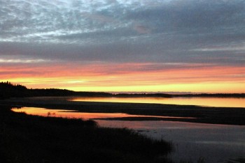 Летний отдых - DSC_1108.JPG