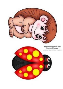 Дидактический материал и идеи для педагогов и родителей. - jkxot-uwTDM.jpg