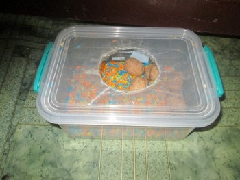 Дидактический материал и идеи для педагогов и родителей. - IMG_2402.JPG