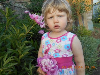 Эту девочку зовут Елизавета - DSCN0755.JPG