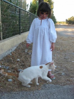 Второй ребенок. Проблемы выбора. - IMG_8526.JPG