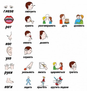 Дидактический материал и идеи для педагогов и родителей. - 1978421_1734873576738498_1249839406029404761_o.jpg