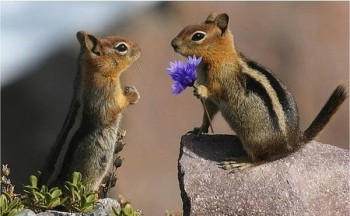 Генератор хорошего настроения - x_5662c409.jpg