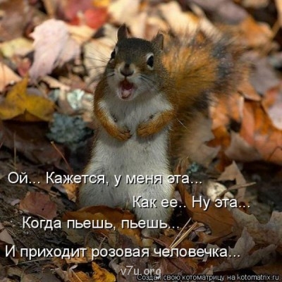 Стимулирование регионами семейных форм устройства сирот - Белочка.jpg