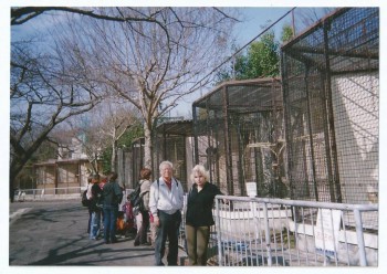 развлекают  мою  полонянку