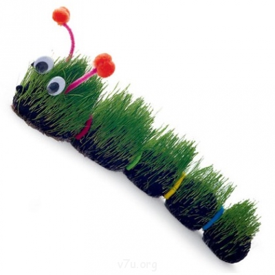 Украшения для участка - гусеница.png