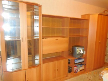 длина 350, высота 210, глубина 60