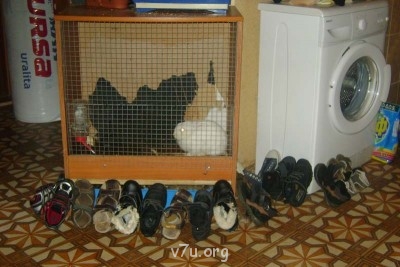 Стимулирование регионами семейных форм устройства сирот - DSC00910.jpg