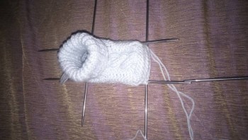 Счастье дома - DSC_0094.JPG