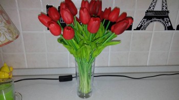 Покупки на АliExpress - 1442571650422987188803.jpg