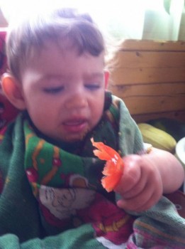 Счастье дома - 30.jpg