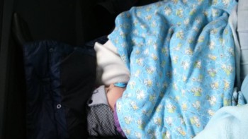 Счастье дома - DSC_0117.JPG