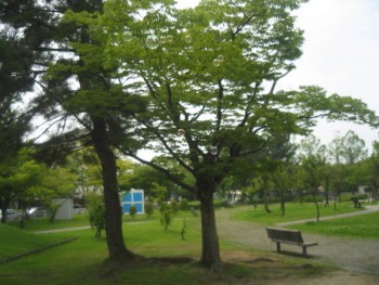 вот  голубой  домик и  есть  туалет в обычном  парке   там   есть  даже   пеленальный  столик  чтобы  положить  ребенка.  И  еще   типа  тумбочки  сверху   вода  бежит чтобы  попить  а  снизу  чтобы  ноги  или обувь  вымыть.