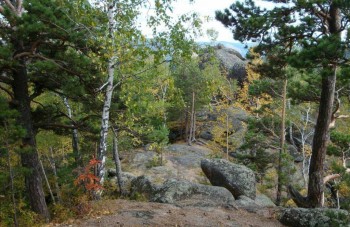 Природа наших мест - 6KGBqc1KQis.jpg