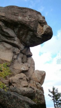 Природа наших мест - lXVR7craYlY.jpg