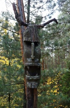 Природа наших мест - l3290jKaYIY.jpg