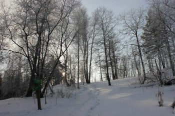 Природа наших мест - w1PHZ7Vs3zg.jpg